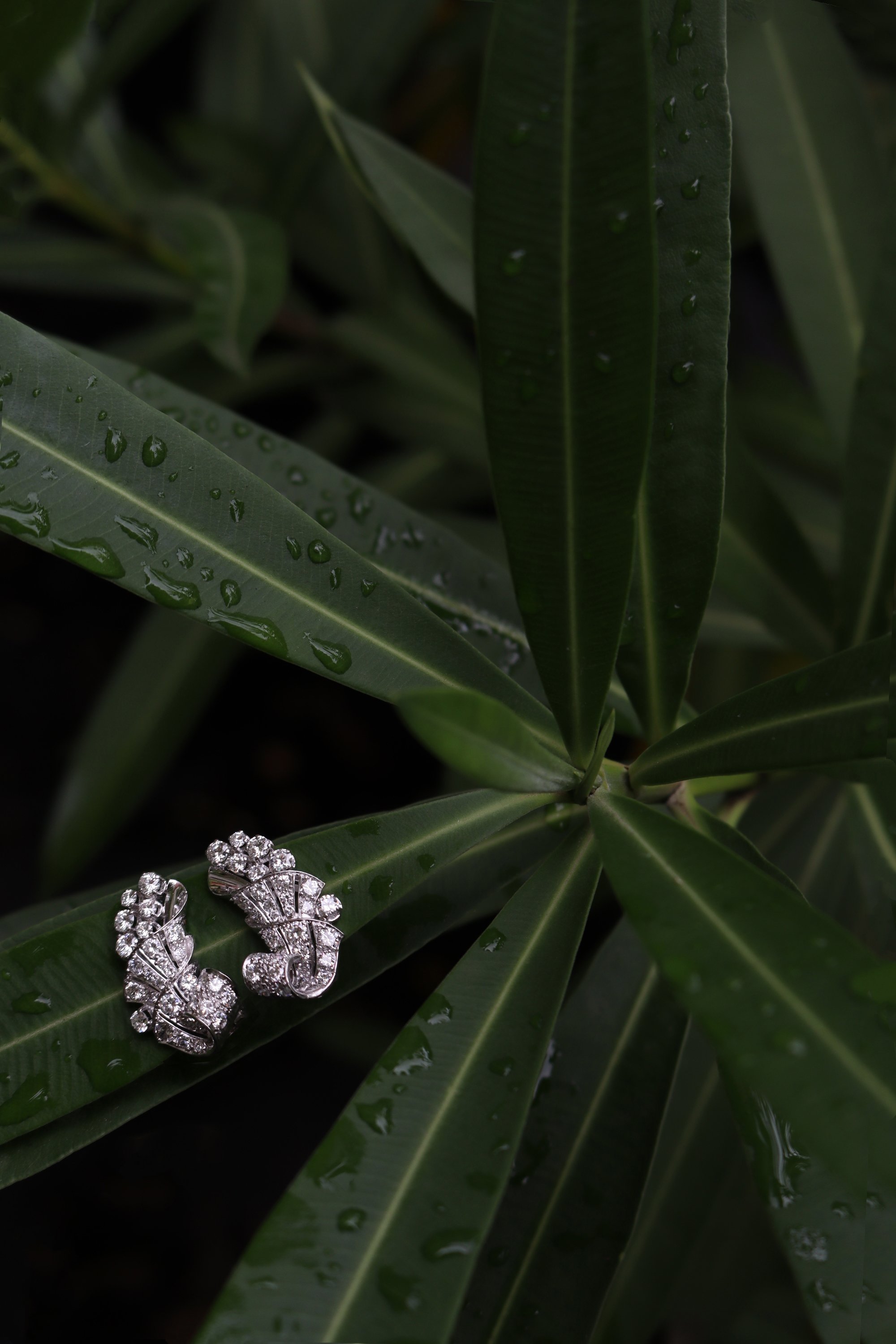 Click the picture to find out more about these Elegant 1950s Platinum Diamond Earclips with Art Deco Flair