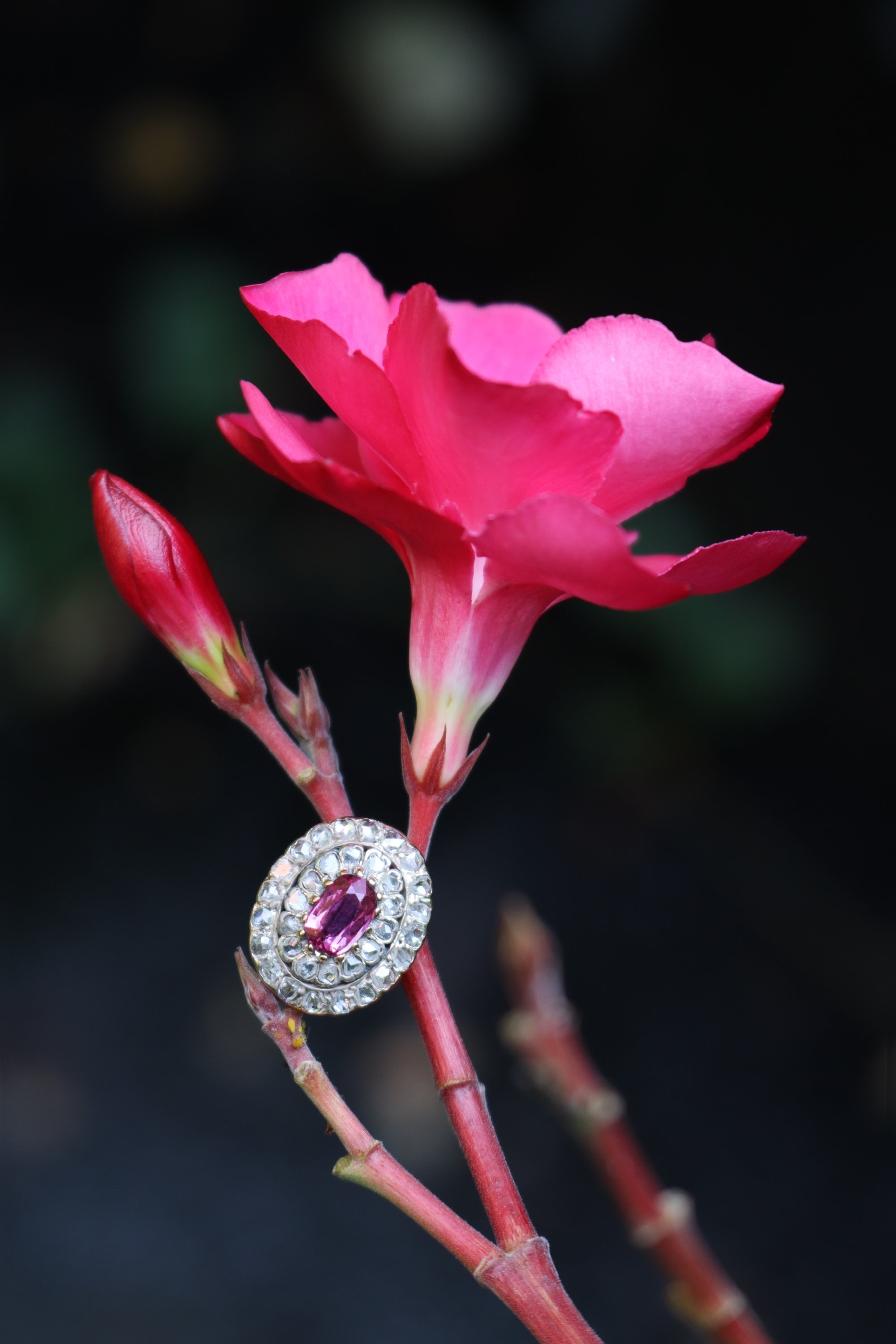 Click the picture to find out more about this Delicate Beauty: Victorian Ring with Pink Purplish Tourmaline